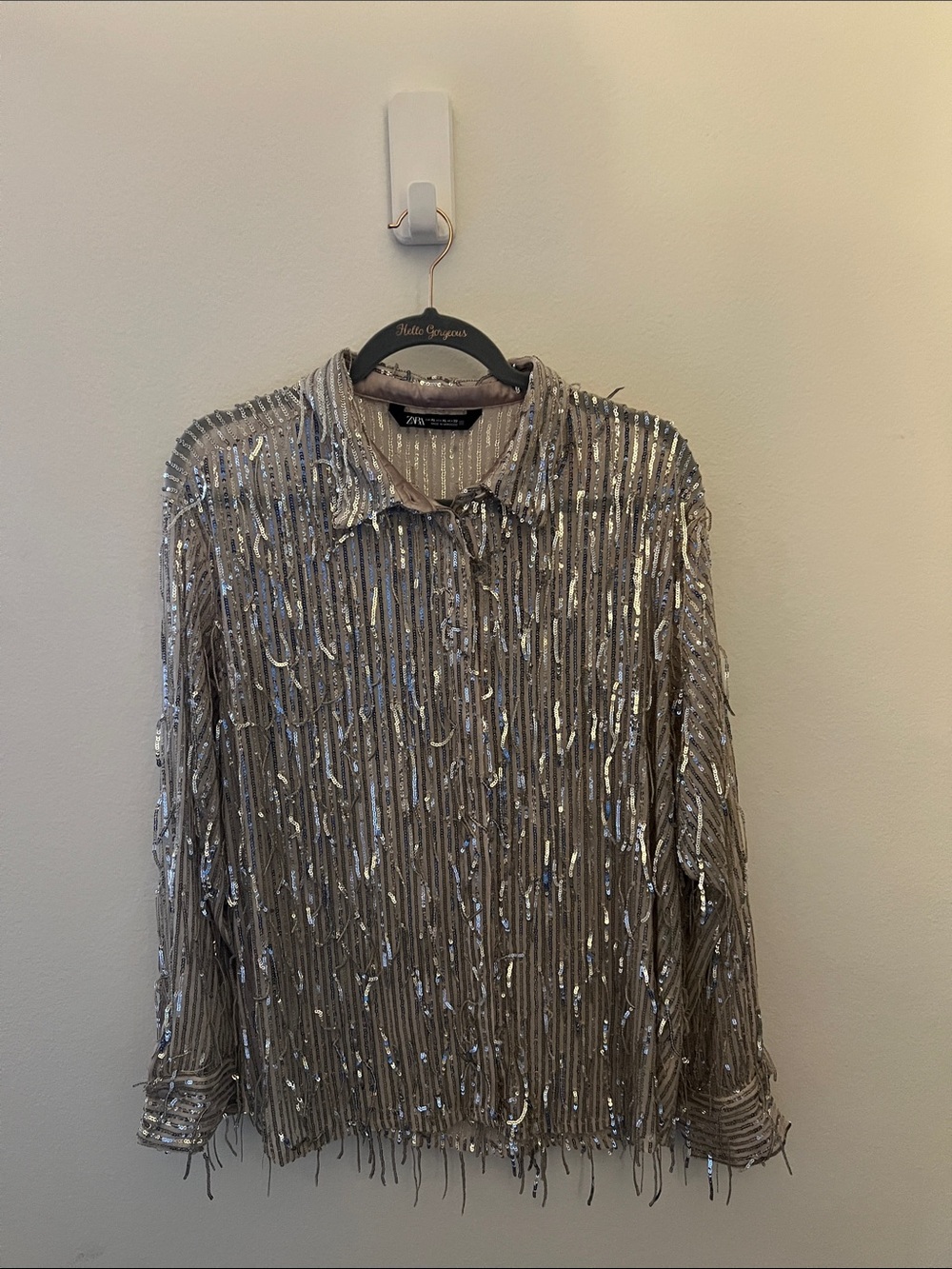 Zara Silver Fringe Sequin Collared Top